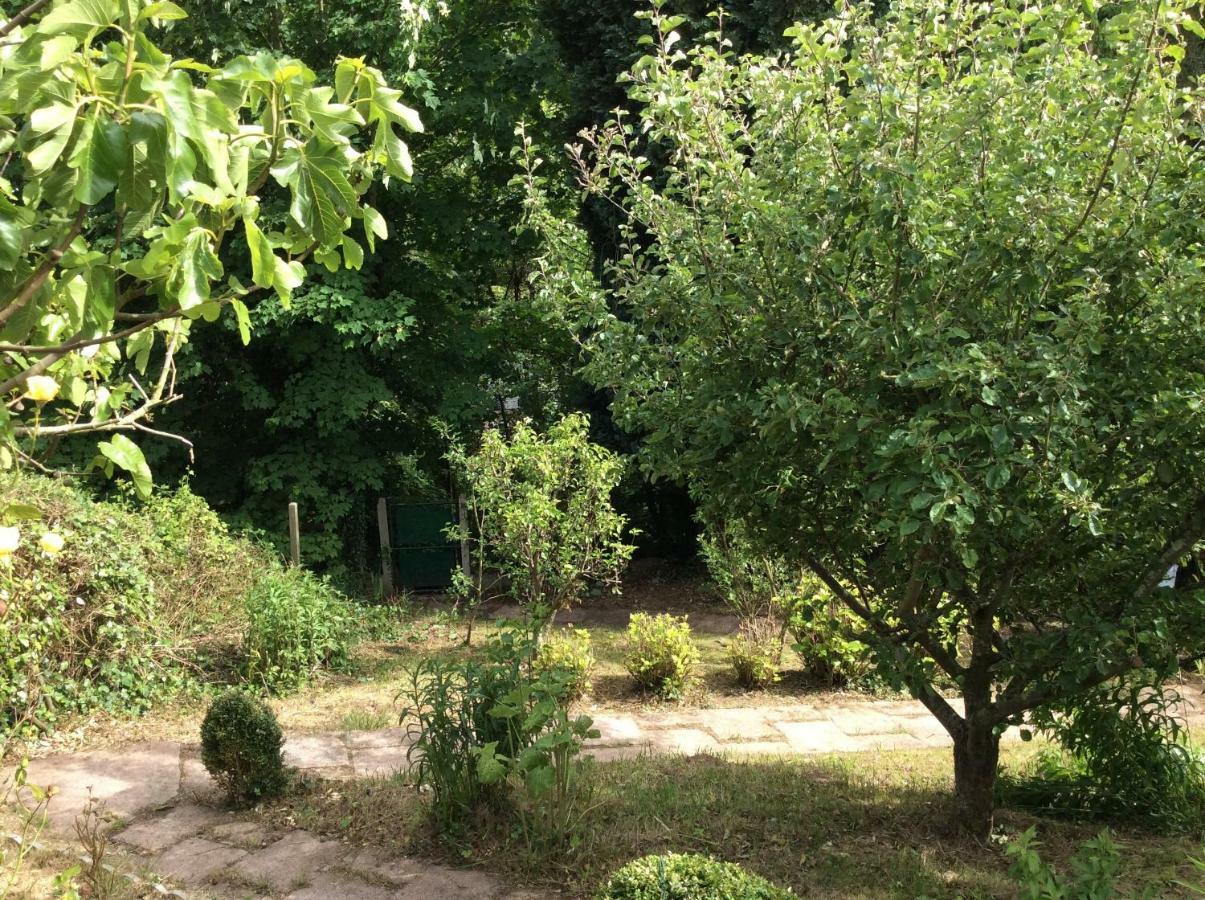 12 Impasse Damilaville Étretat Kültér fotó