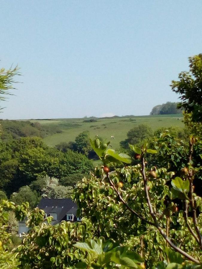 12 Impasse Damilaville Étretat Kültér fotó
